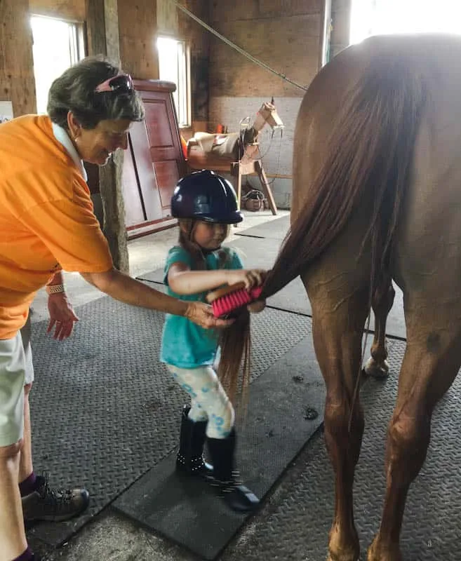Volunteer assisting a participant brush a horse's tail